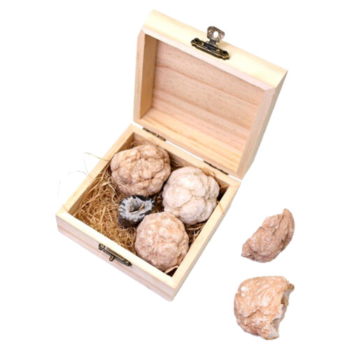 5 Boxen Edelstein-Such-Set Gesteins-Sammlung -Set 1