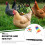 1Jgo Colgante Para Pájaros Y Gallinas Con Material Resistente 7