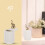 cerâmico com revestimento, selado, para decoração 11