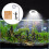 Riempitiva Per Acquario USB Assortiti in Alluminio 8