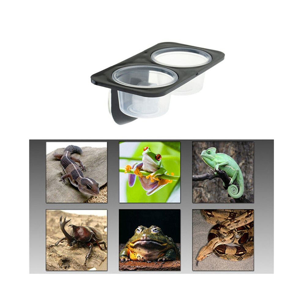 2X Reptiles & Amphibians Lizard Gecko Suction Cup Feed Bowls Food Container With Bowl For Reptile Food A Typecat
