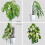 8 Pcs 17 Inch Plastic Moss Pole for Plants Monstera,Designed Specifically for Climbing Plants, Stackable Plant Support 4