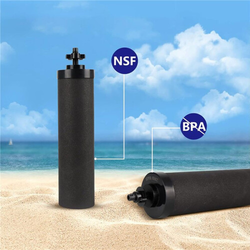 4x Zwart Vervangend Waterfilter, Vervanging Compatibel met Gravity Countertop Purification Elements 2