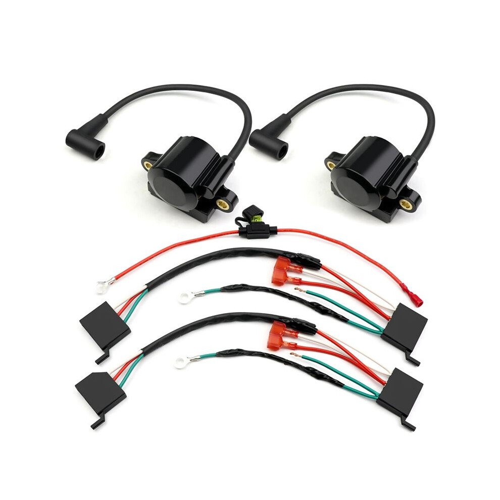 1Set Ignition Coil Spark Dsai Advance Module For Ch740 Cv740 Sv735 Sv740 24-755-172-S 24-755-173-S 6033146218743