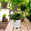 Rolling Plant Tray Halter Runder Mit Beweglichen 5