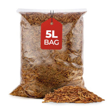 Beewarm Premium Wild Bird Food – Meal Worms for Garden Birds – High Energy, No Mess Bird Feed (5L Bag, Mealworms)