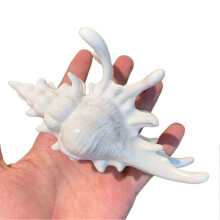 (White) Bohemian Conch Hair Clips - Non-Slip Strong Hold Claws Vacation Hair Accessories for Beach & Everyday Hairstyling