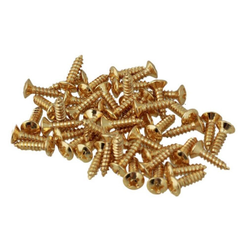 300X PièCes de Vis de Basse de Guitare pour Pickguards Scratchplates, Or 1
