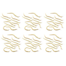 60Pcs 12 Inch Unfinished Wooden Wiggly Snakes Jointed Flexible Wooden Snake Blank Animal Model Crafts Toys for Arts