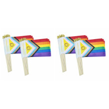 100er-Pack Intersex Progress Gay Pride Stick-Flagge, Kleine -Regenbogen-Handflaggen LGBTQ, 5 X 8 Zoll