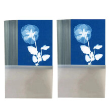 64-Teiliges Sonnendruckpapier, A5-Sonnenkunstpapier mit 1 Kunststoffwerkzeug für Den Sonnendruck, Lichtempfindliches Solarfotografiepapier-Set