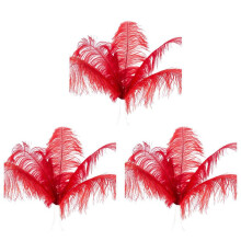 30 Stuks Natuurlijke Struisvogelveren Bruiloft Decoratie Rood 20-25Cm