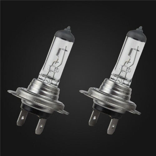 12 X H7 Car Headlight Bulbs 12V / 55W Halogen Standard Lamp Light 2