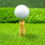 Longridge Golf Strip Teez 6PK 2