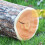 Oreiller en bois avec impression numérique 3D pour enfants, 5
