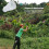 Portable Telescopic Butterfly Net Tiny Mesh for Insect Catching 3