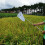 Portable Telescopic Butterfly Net Tiny Mesh for Insect Catching 16