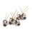 30 X 3 DU 5 C Metaal Silicium Fototransistor Transistor 6