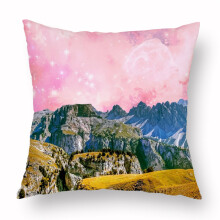 Taie d'oreiller coussin jardin extérieur taie-T-60079-13