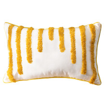 Coussin touffeté tissé de Style nordique moderne, pour étui-2