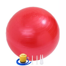 Professional Grade Yoga Ball, Versatile Use Fitness Balance Ball For Core Strengthening Exercises, Large Enough To Train Pilates Yoga Abs Core Trainin