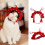 Cappello Peking Opera Rosso Per Animali Con Nappine E Peli 9