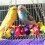 Avian Paradise: Παιχνίδια κλουβιών για κούρνιες πουλιών, κρεμαστή καμπάνα από φυσικό 6