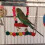 Avian Paradise: Παιχνίδια κλουβιών για κούρνιες πουλιών, κρεμαστή καμπάνα από φυσικό 4