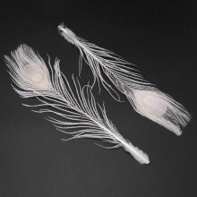 100 PCS/Natural White  Feathers in the Eye, 10 to 12 Inches of the  Feather Wedding Decoration