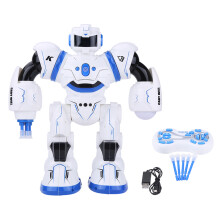 Interactive Robot, Educational Playing, Programmable Actions For Kids, With Intelligent Remote Control, LED Lights, Talking Robot, Fun And Educational