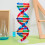10Stk Holz Dna Modell Mit Stand Doppelhelix Für Kinder 3