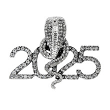 Trendy 2025 Snake Year Broche Fonkelende Steentjes-Zilver
