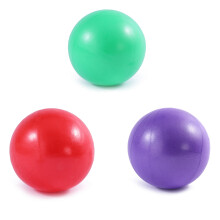 Professional Home Gym Equipment, High Quality PVC Material, Anti-burst Non-slip Design Mini Exercise Ball Set, Core Strength Improvement for Yoga Pila