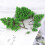21Stk Poplar Modell Grün Für Landschaft Garten Diorama 11