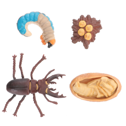 5Sets Realistisch Model Speelgoedset Insecten Assorti Kleuren 1