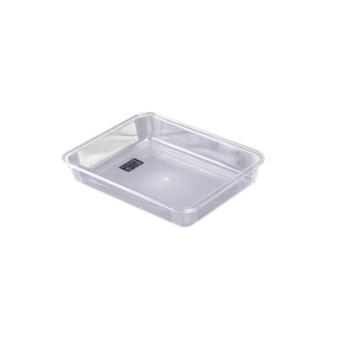 2Stk Transparente Kunststofftabletts Silber Gesund &