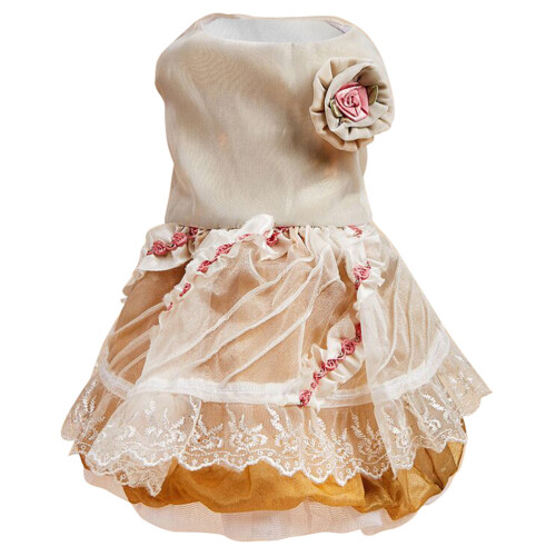 3Stk Rose Für Festliche Anlässe