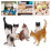 10Stk Katzen Figuren Set Für Garten Und 8