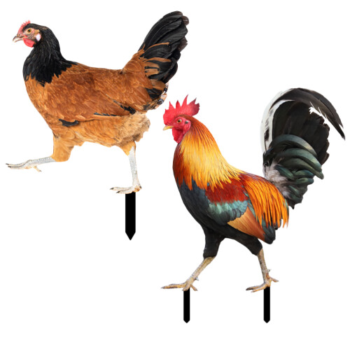 6Stk Garten Huhn Acryl Hof 1
