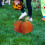 4Stk Halloween Gartendeko Eisen Kürbis Orange 10