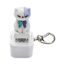 Press Button Fidgets Toy With LED Keychain-Sound luminous cat