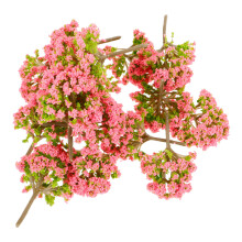 80Stk Plastik Mini Modell Für Diorama Pink Robust