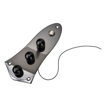 2Sets Loaded Control Plates Für Gitarren, Schwarz, DIY Ersatzteile