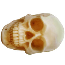 2Stk Schädel Figur Halloween Kunststoff Resin Modell