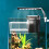 4Ud Caja Separadora Para Cría De Peces Acuario Nylon Resistente 11