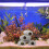 4Pièces Abri Résine Aquarium Durable 8