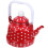 2Pcs Red Enamel Tea Kettle Vintage Portable Water Heating Pot 9