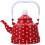 2Pcs Red Enamel Tea Kettle Vintage Portable Water Heating Pot 8