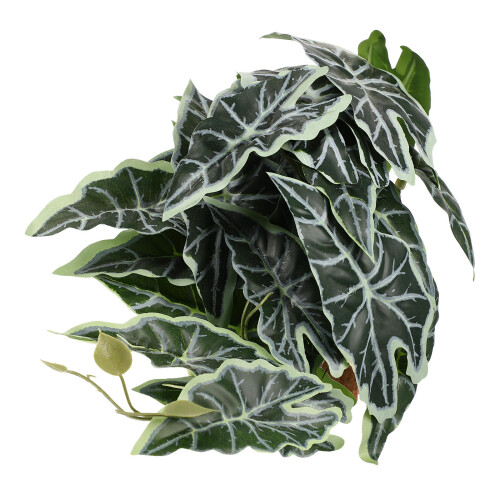 4Pz Artificiale Per Rettile Verde Decorazione Terrario