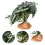 4Pz Artificiale Per Rettile Verde Decorazione Terrario 8
